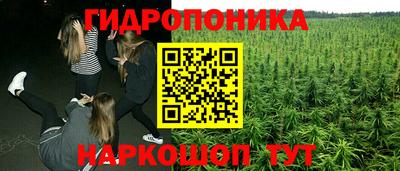 дживик Бийск