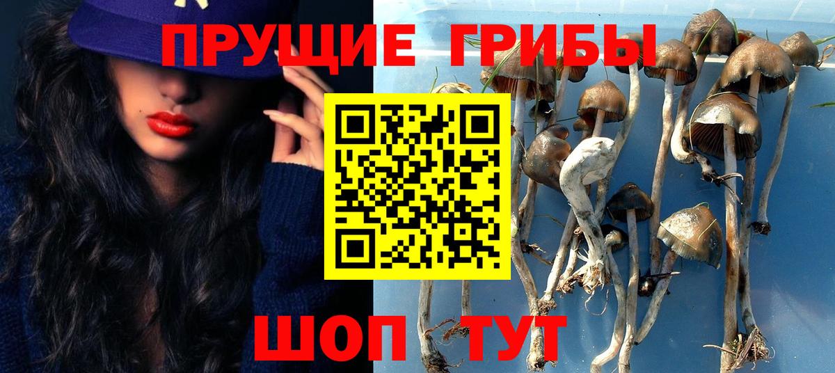 Коломна  Галлюциногенные грибы прущие грибы  Вход с VPN 